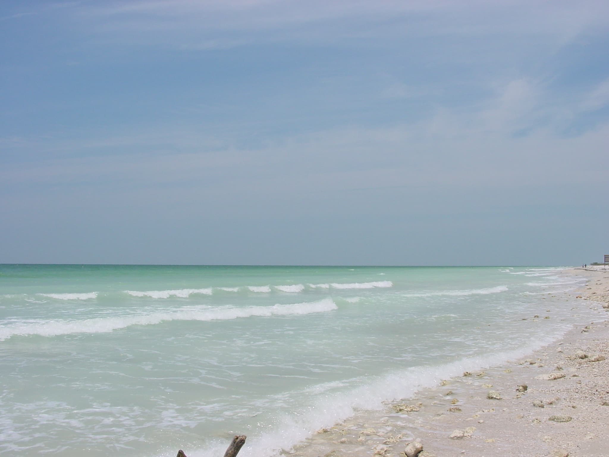 Beach and shoreline at Honeymoon Island State Park near Clearwater
